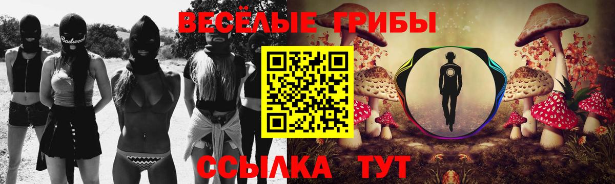 Тимашёвск  Псилоцибиновые грибы мухоморы  цены наркотик  Вход с VPN 